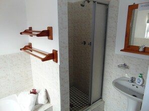 A bathroom with a shower, a sink, and a mirror. - Whale Watchers Inn (Witsand)