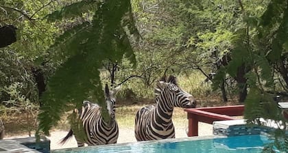 Turaco Lodge