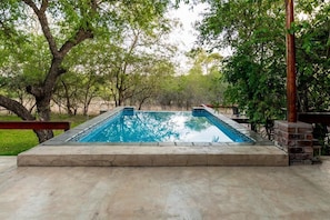 A rectangular swimming pool with a stone border, surrounded by trees and a wooden deck. - Turaco Lodge (Nkomazi)