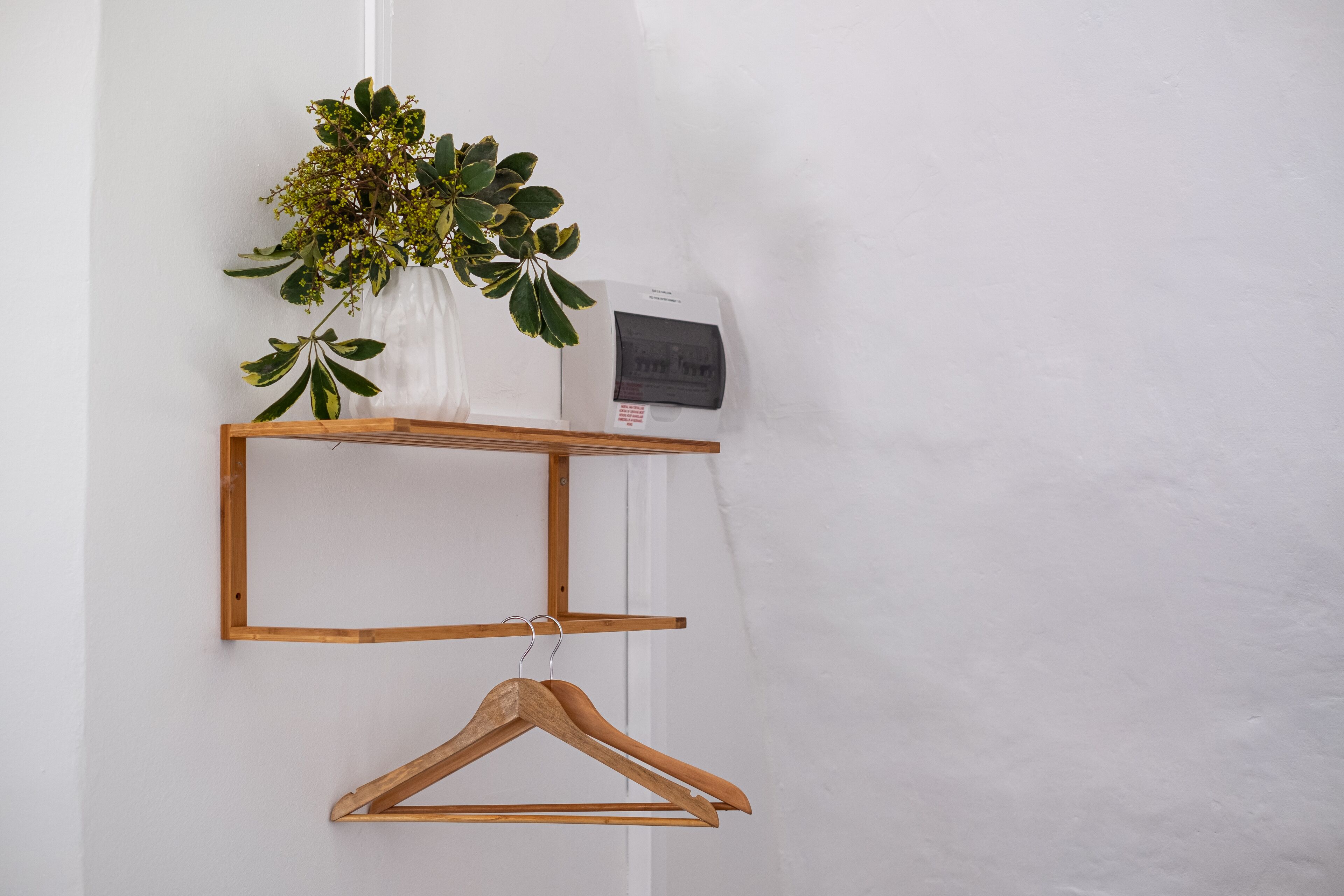 A white wall with a wooden shelf holding a vase with green foliage and a wooden hanger.