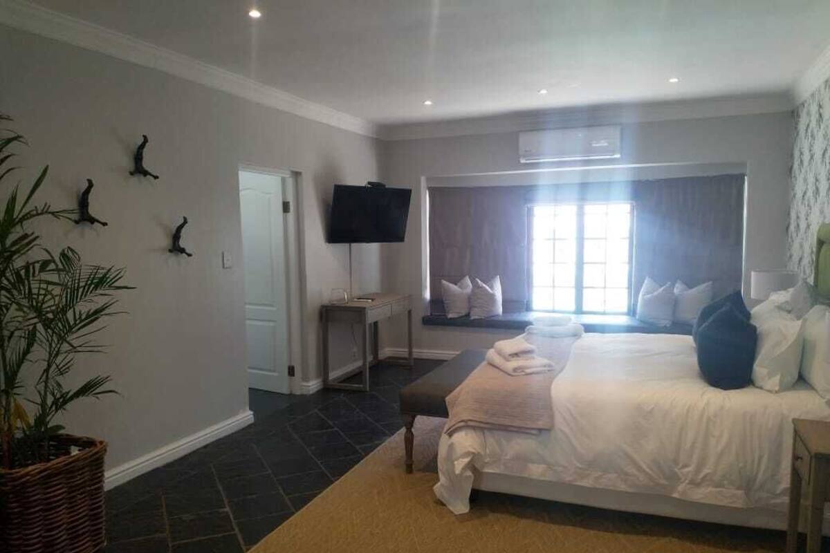 A bedroom with a large bed, a television, a bedside table, and a potted plant.