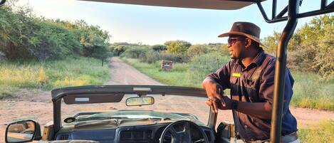 Interior de un vehículo safari con volante, tablero y asientos.