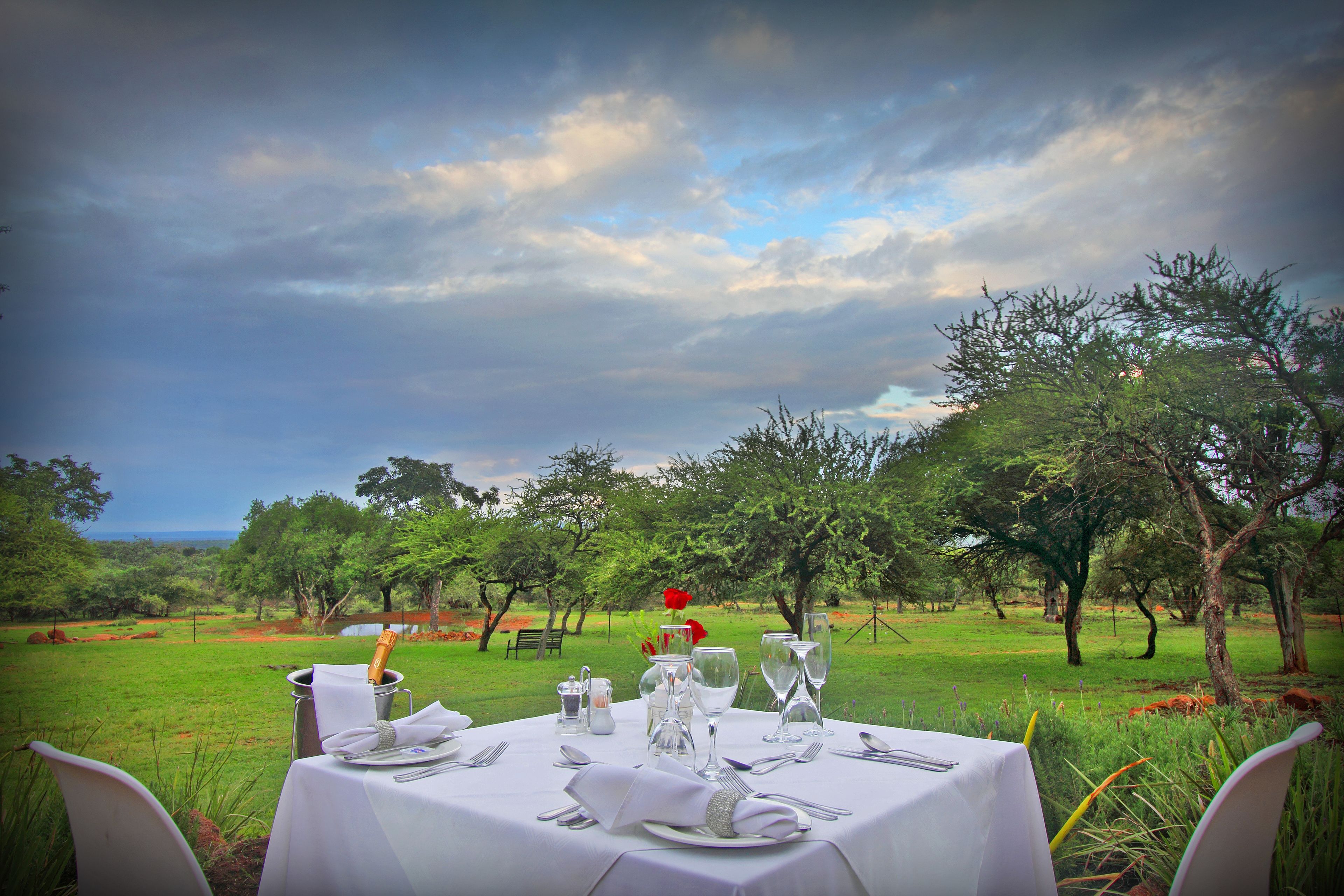 Une table dressée pour un repas, avec vue sur un paysage verdoyant et des arbres.