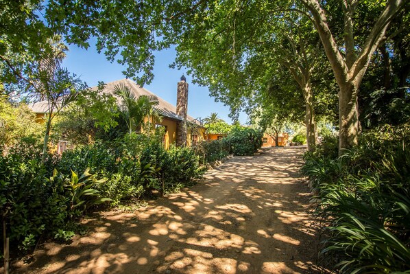 Terrein van de accommodatie