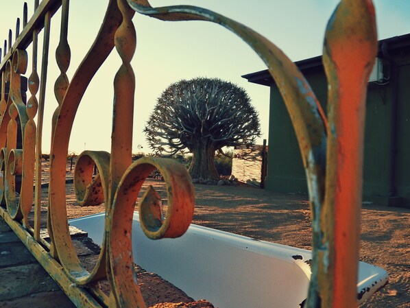 Children’s play area – outdoor