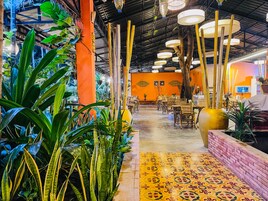 Se sirven desayunos y cocina internacional, junto a la piscina