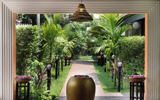 Jardín