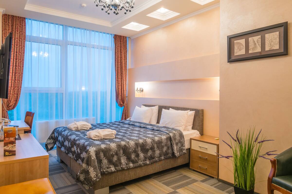 Quarto de hotel com cama, mesa de cabeceira, luminária, cadeira, escrivaninha, televisão, cortinas e um vaso de planta.