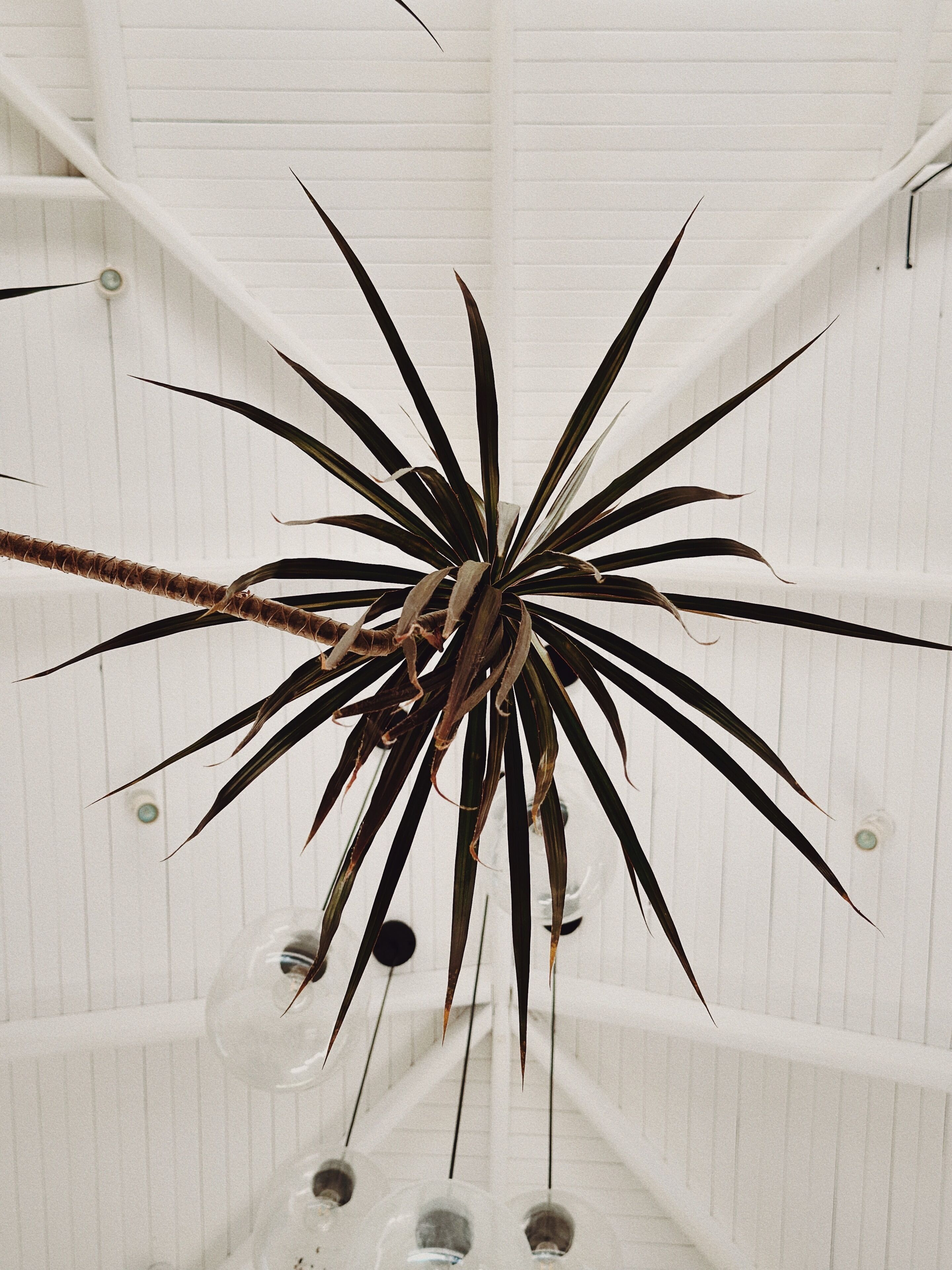 luxury villa, 4 bedrooms, ocean view, sea facing | living area