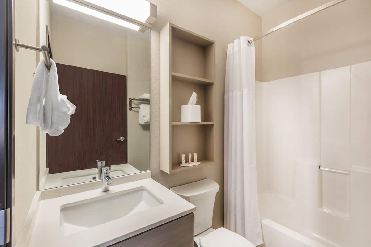 combined shower/bathtub, free toiletries, hair dryer, towels