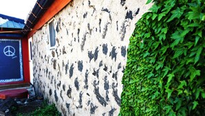 Un bâtiment à l’aspect extérieur rustique et texturé, avec un mur recouvert de lierre.