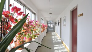 Un couloir, avec des plantes en pot d’un côté et une porte rouge de l’autre.
