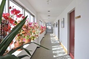 A hallway with potted plants on one side and a red door on the other.