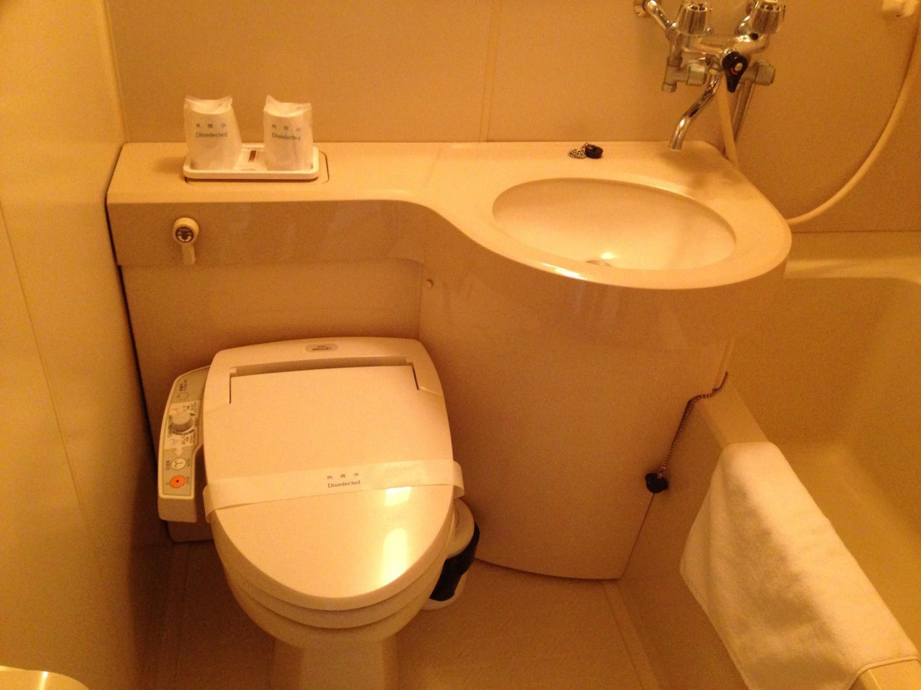 combined shower/bathtub, hydromassage showerhead, free toiletries