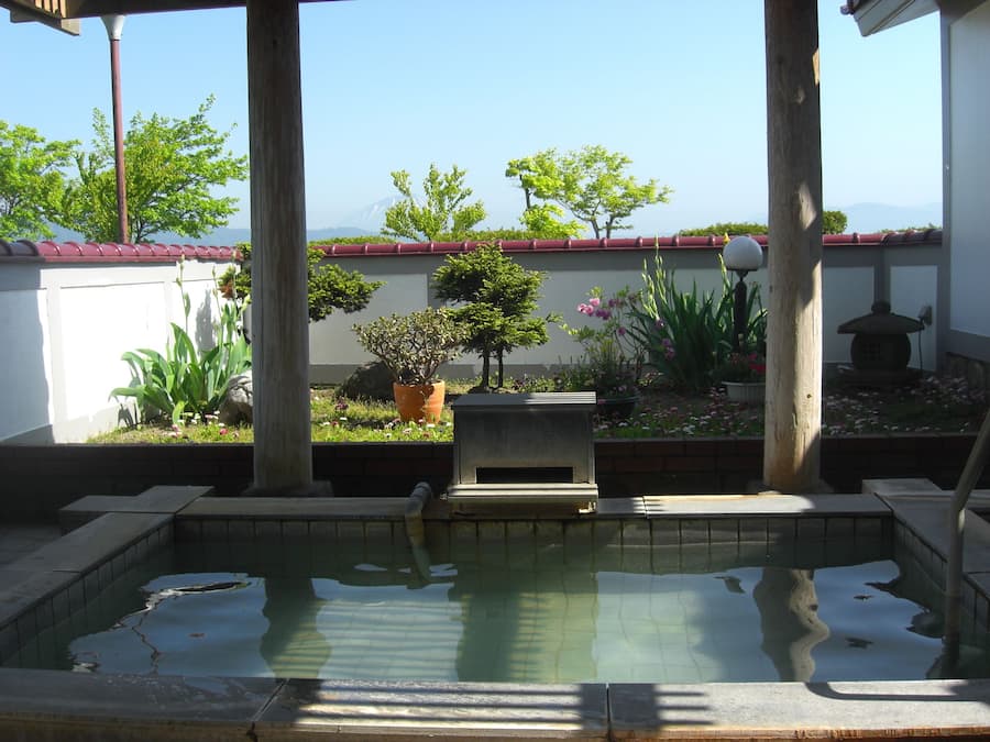Una piscina con borde de piedra, rodeada de plantas en macetas y un pequeño jardín.