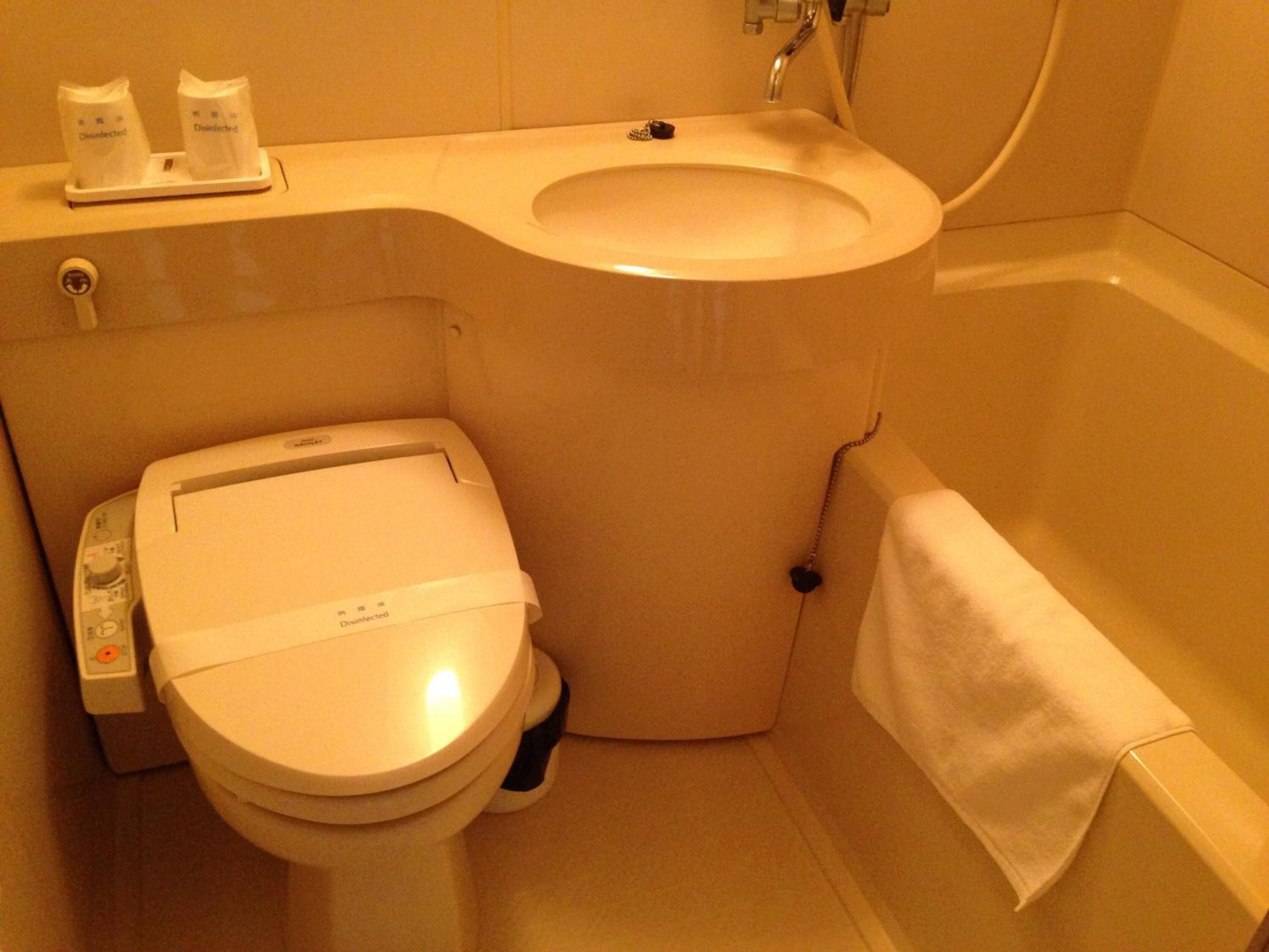 combined shower/bathtub, hydromassage showerhead, free toiletries