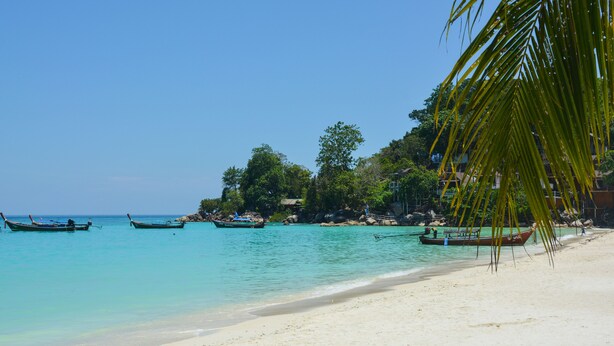 A beach with boats, clear water, and a palm tree. - Forra Diving Resort - Pattaya Beach - Koh Lipe (Koh Lipe)