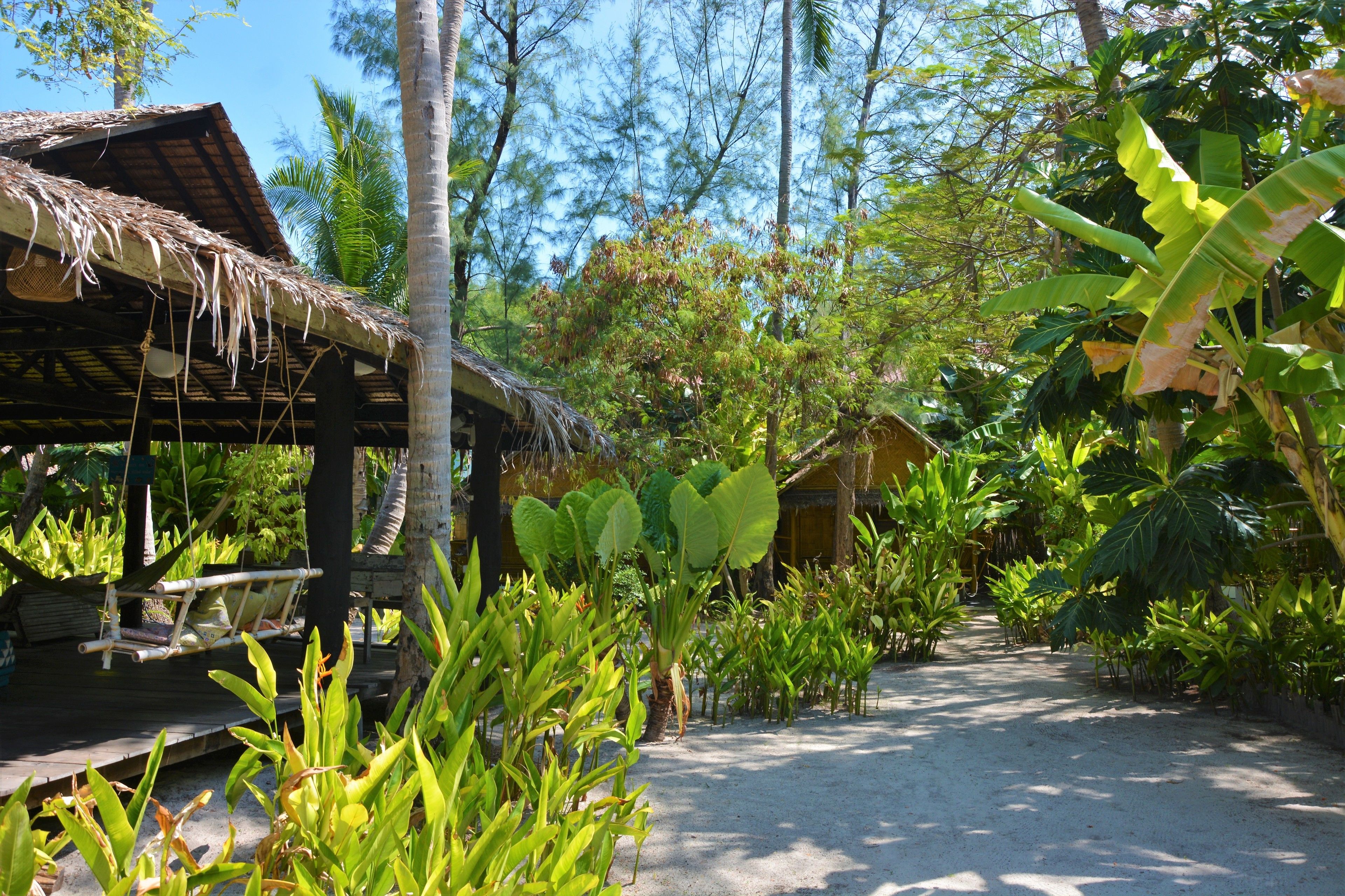 Garden