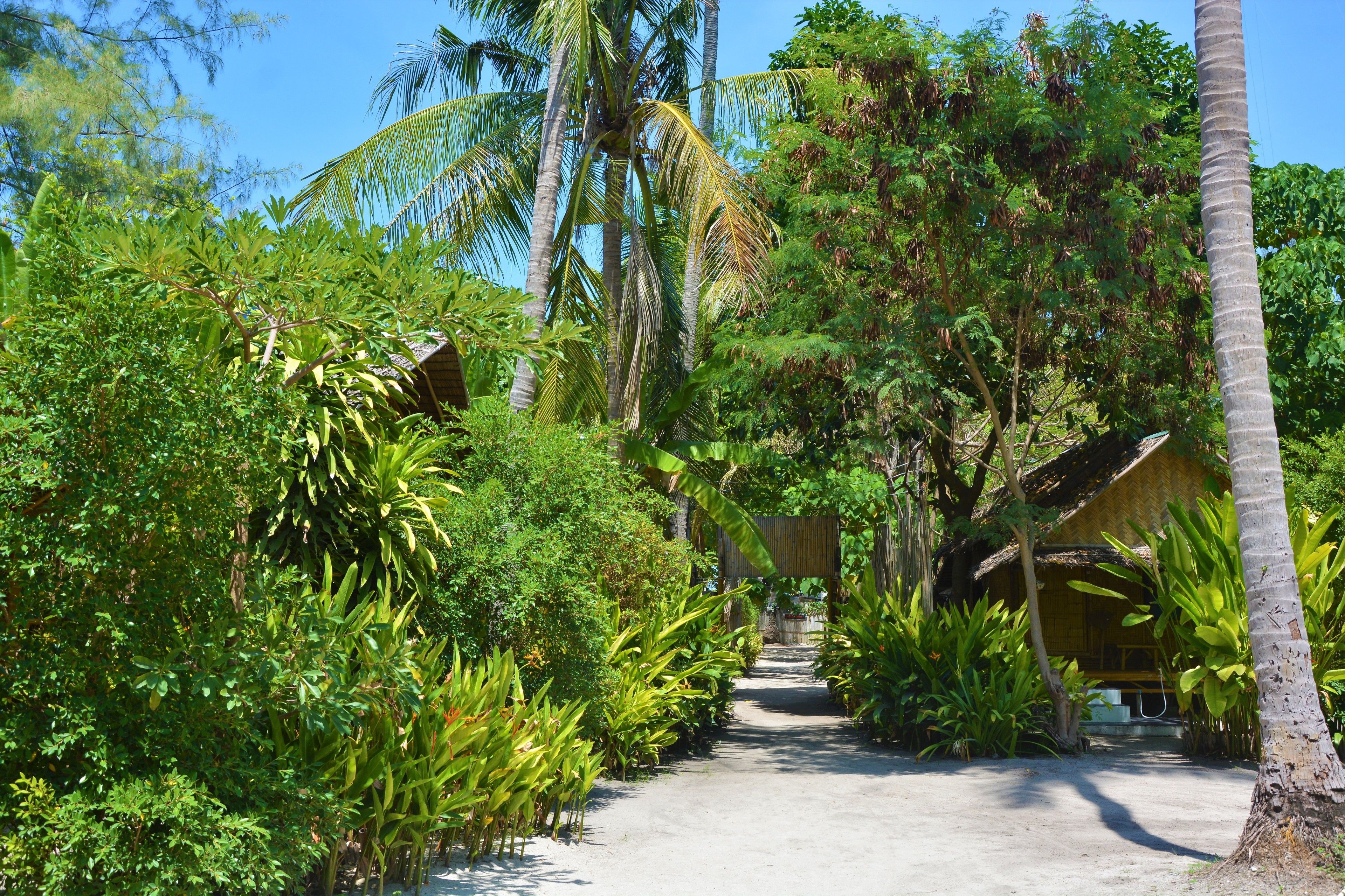 Garden