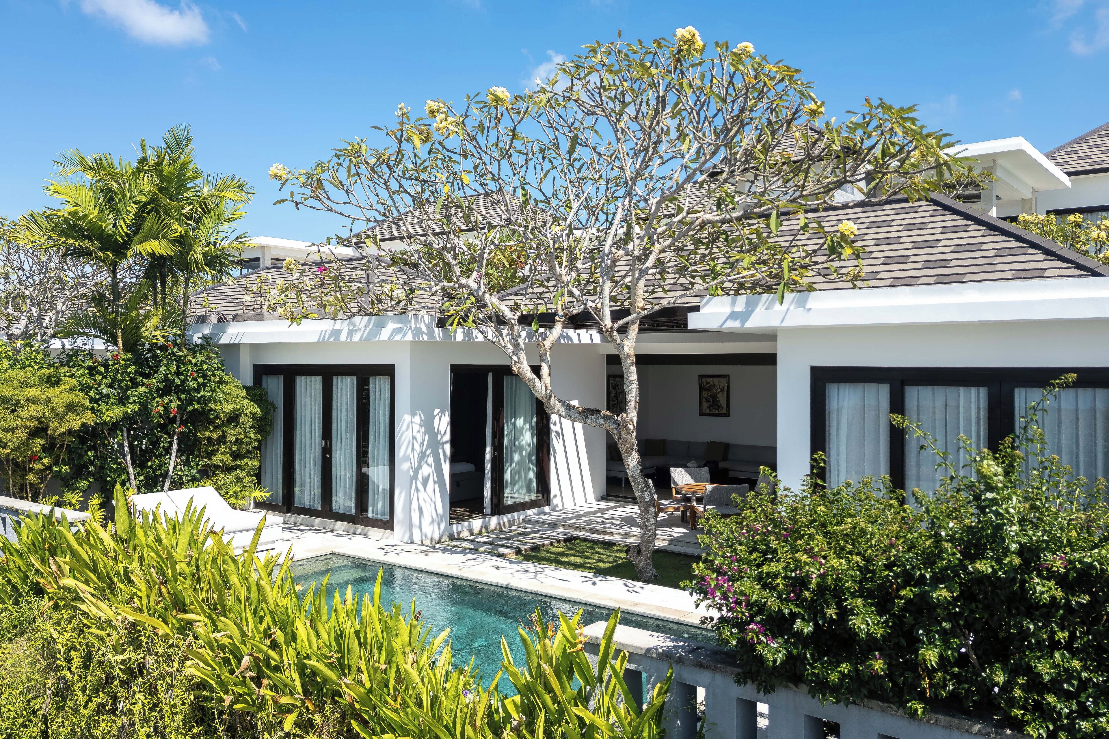 A modern house with a swimming pool, large windows, and lush greenery.