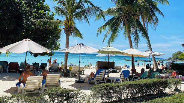 Een strand met palmbomen, ligbedden en parasols.