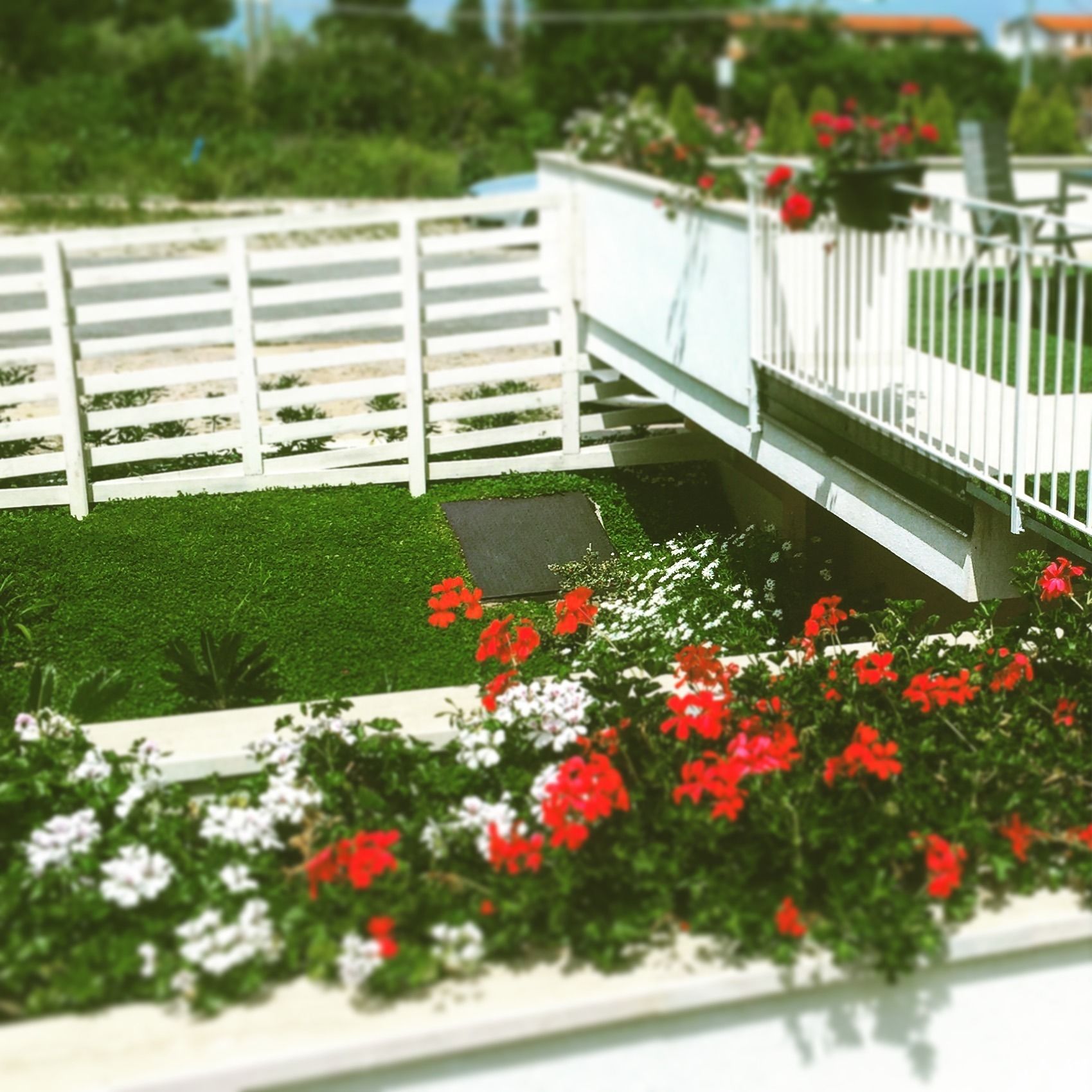 Un jardín modelo con valla blanca, césped verde y flores rojas.