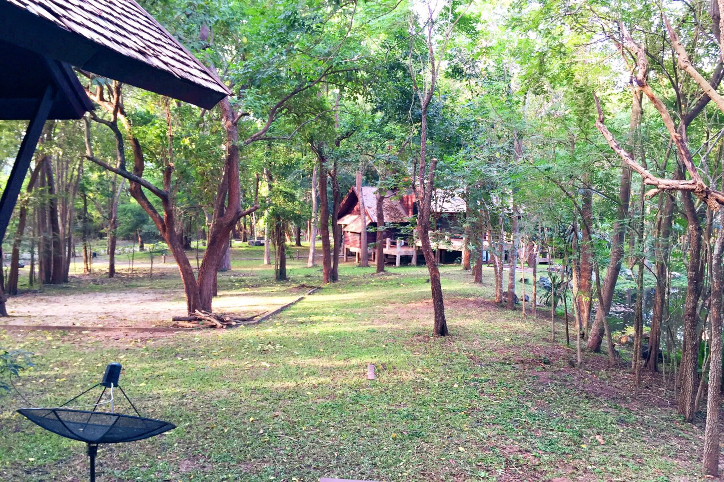 A forested area with a rustic building and a hammock.