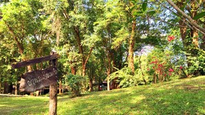 A wooden signpost in a lush, green park with trees and shrubs in the background.