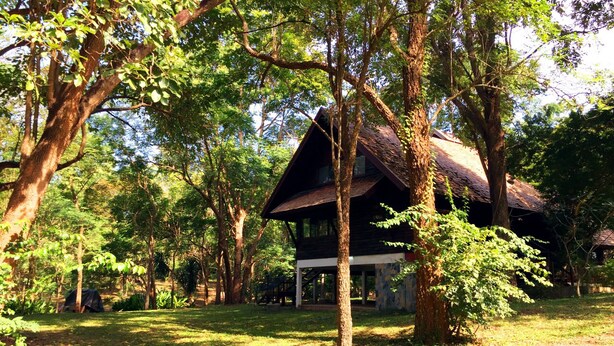 A rustic cabin surrounded by trees in a forested area.
