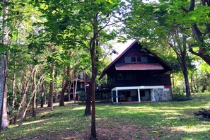 A rustic cabin surrounded by trees in a forested area. - Baan Parimtarn Kanchanaburi (Kanchanaburi)