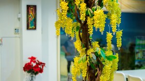 Un árbol amarillo con flores en maceta en un ambiente interior moderno, con sillas blancas y un banco de madera.