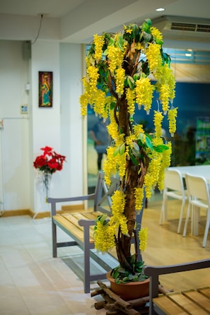 Entrada interior