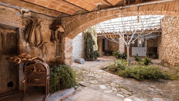 An old stone building with a rustic interior, featuring a stone floor, brick arches, and a small garden area with plants and a tree. - Can Barnosell - Els Masos d'en Coll (Fontanilles)
