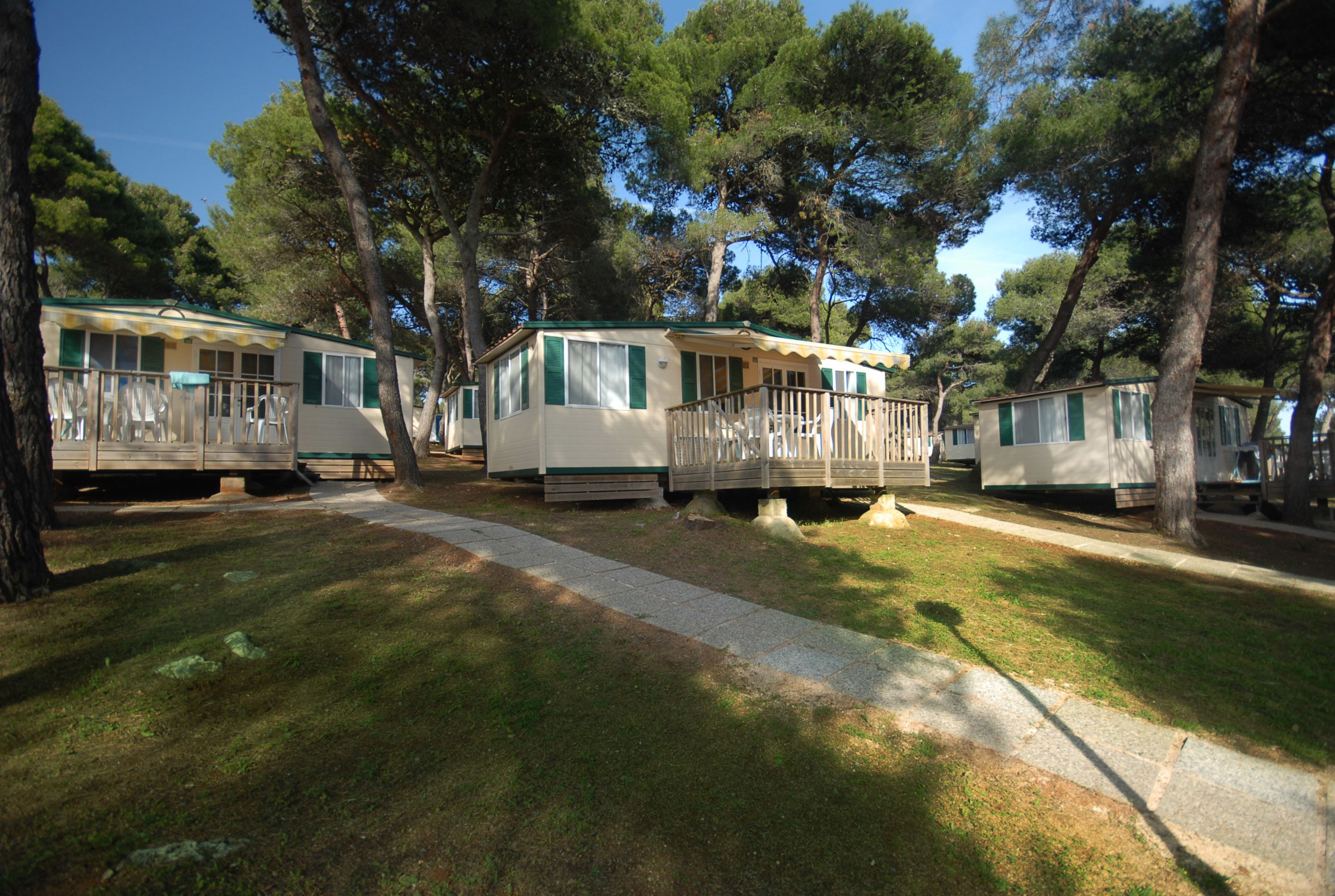 Een rij vakantiehuisjes met houten terrassen en groene luiken, omringd door bomen.