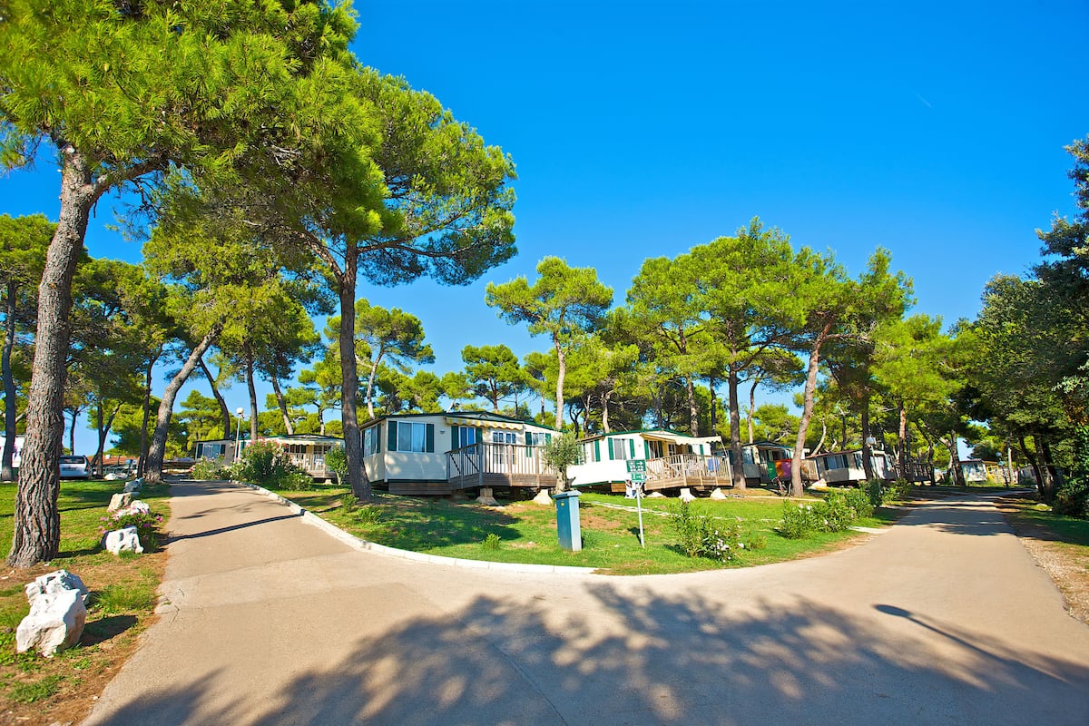 A campground with mobile homes, a paved road, and surrounding trees.