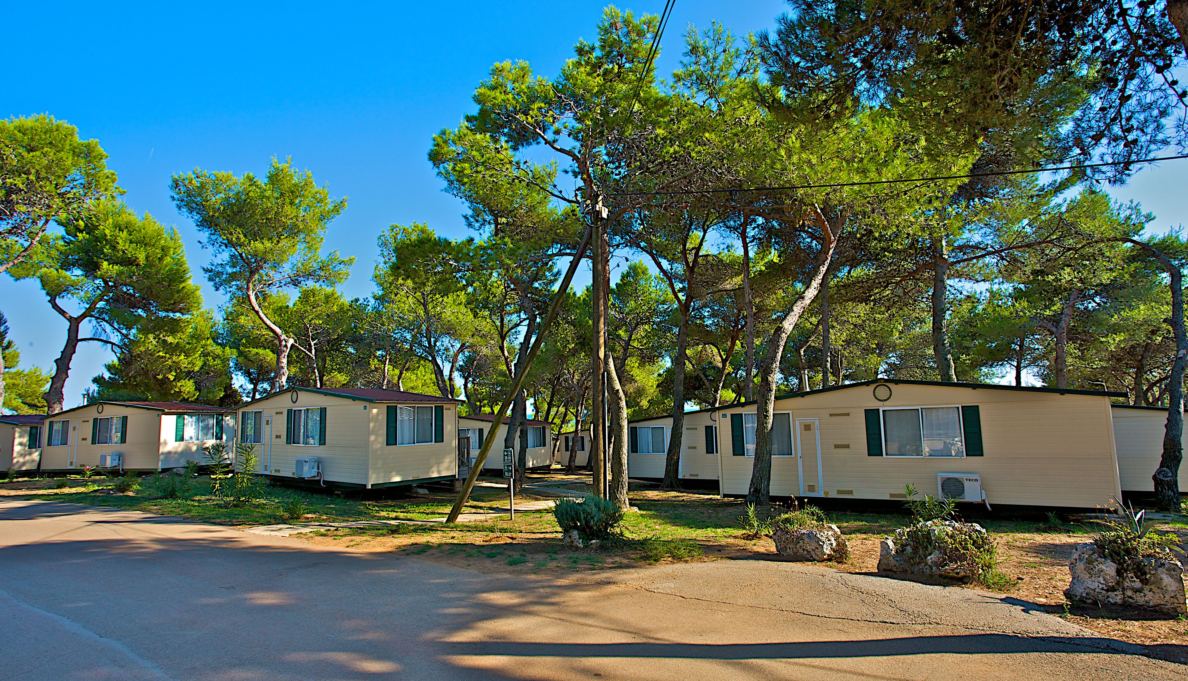 Una hilera de casas móviles con un camino de tierra delante, rodeadas de árboles.