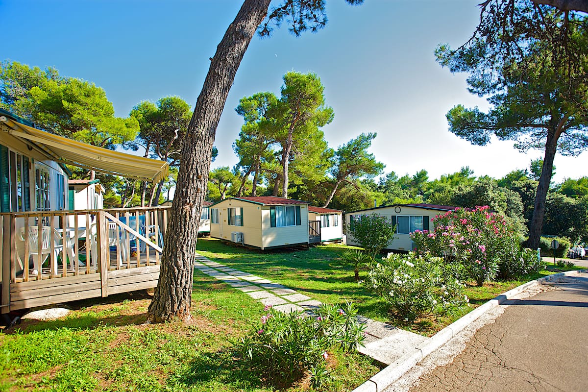 A row of mobile homes with a grassy yard and trees.