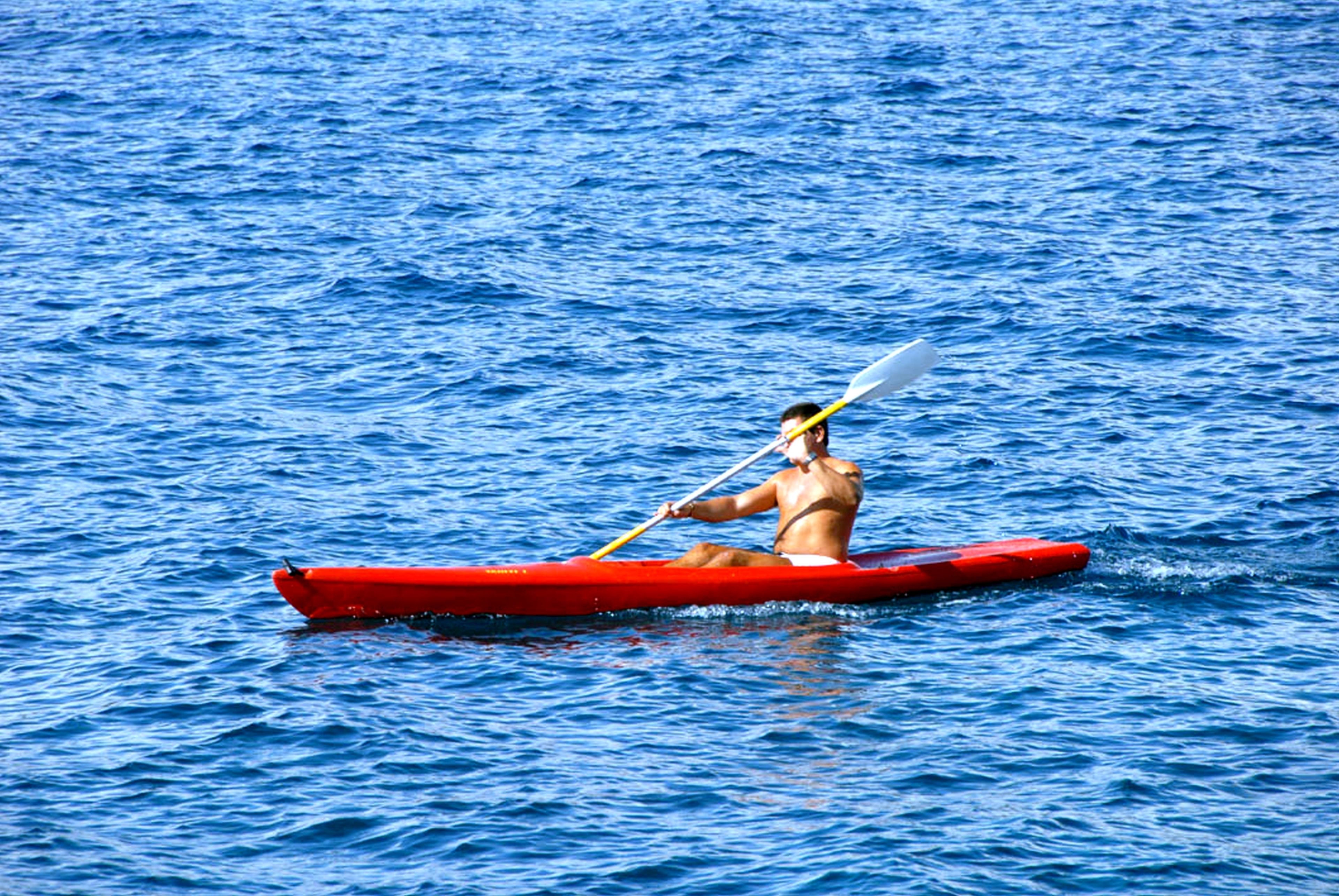 Foto - Arena Stoja Camping Homes