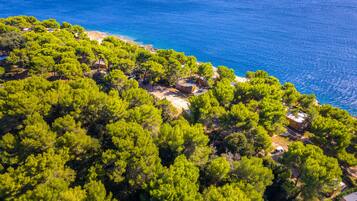 An aerial view of a coastal area with dense green pine trees, a sandy beach, and a few buildings with visible roofs.
