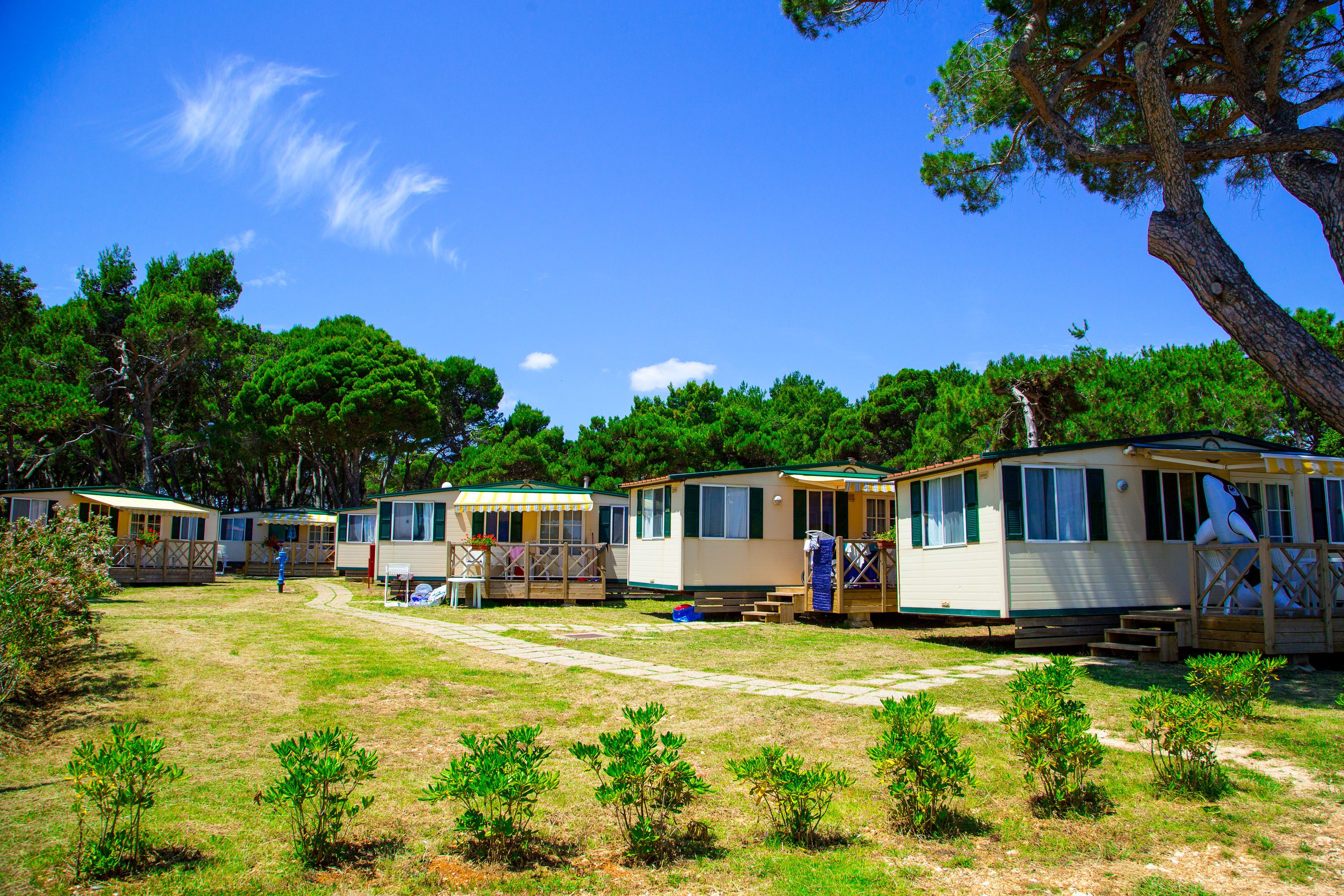 Une rangée de maisons mobiles, avec une cour gazonnée, une terrasse en bois et un grand arbre.