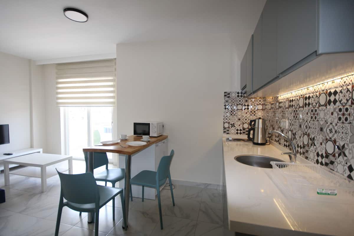 Standard Suite | Minibar (free items), desk, soundproofing, cribs (free)