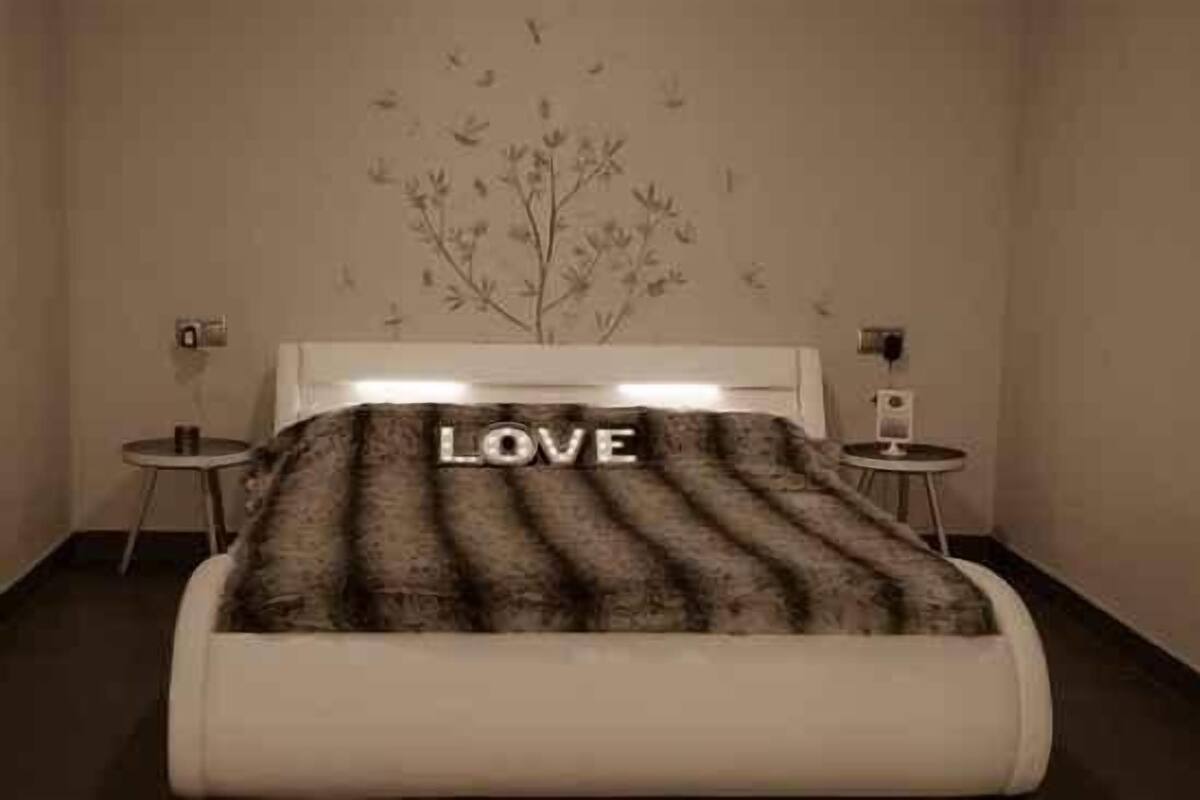 Ropa de cama de alta calidad, edredones de plumas, cortinas opacas