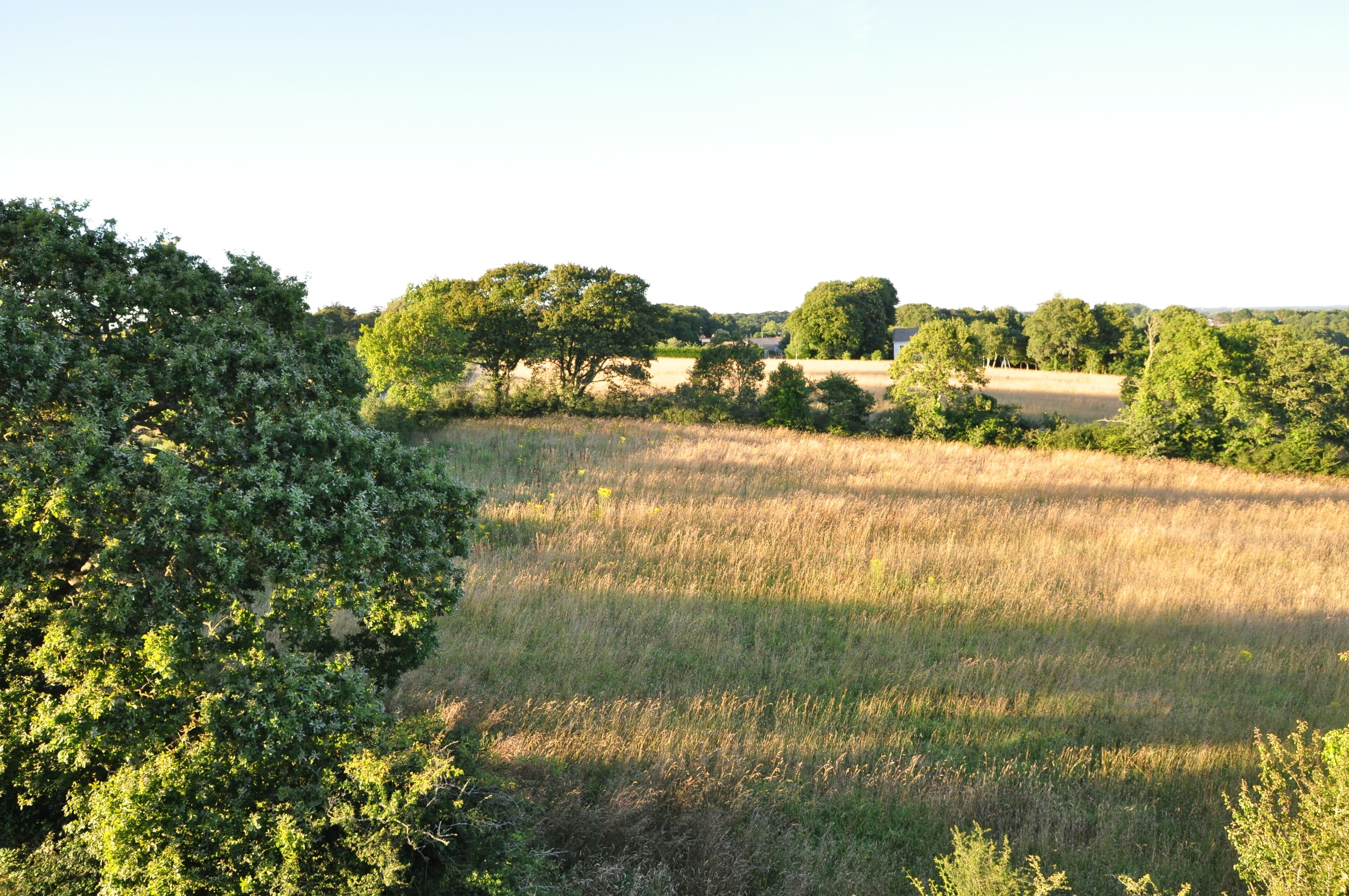 executive studio | garden view
