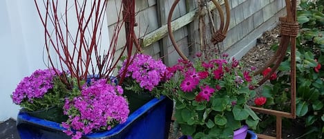 Jardin