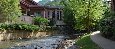 Un río serpentea por un área ajardinada, con un edificio al fondo.