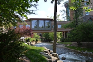 A modern building with large windows overlooking a landscaped area with a stream.