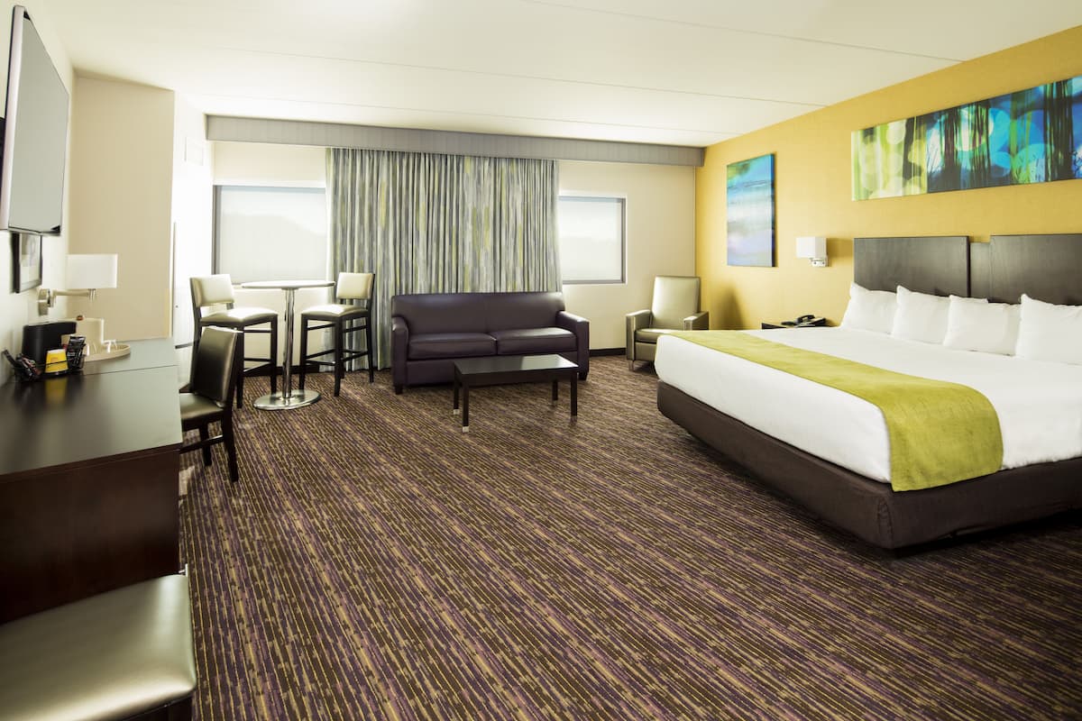 Een hotelkamer met een groot bed, een bank, een bureau en een televisie.