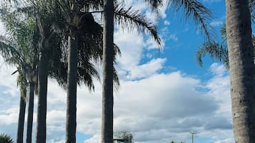 Área de parrillas y picnic