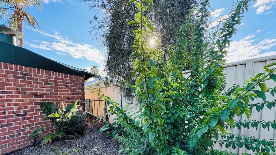 Town & Country Motor Inn