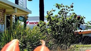 A building with a sign for 'Lynn & Cummings Motor Inn' and a palm tree in the background.